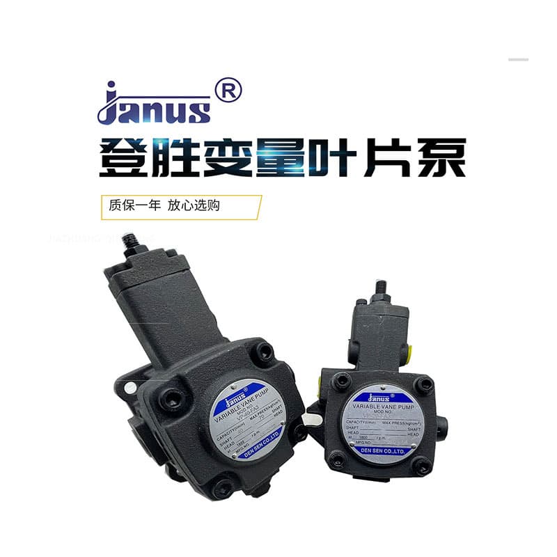 Janus Taiwan Dengsheng Oil Pump VP-20-FA3 Vane Pump VP-08/12/15/30/40-FA2 FA1