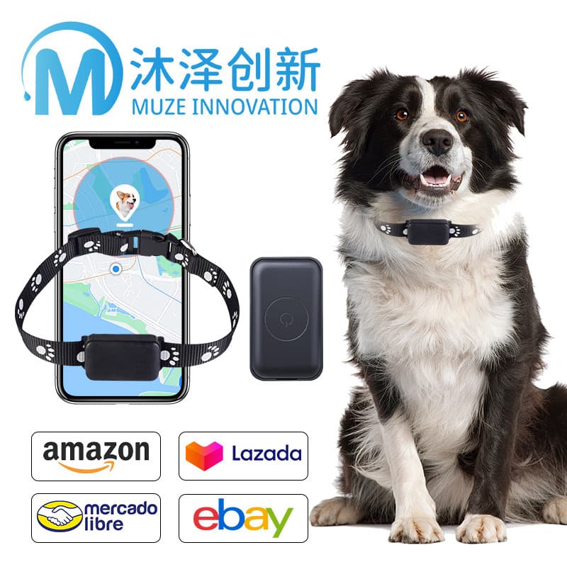 P03 Smart GPS Wireless Pet Tracker Detachable Anti-Loss Collar GPS Tracker for Cats and Dogs P03