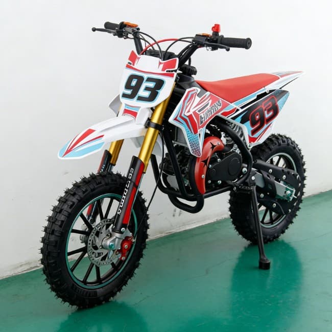 49CC 2-Stroke Kids Dirt Bike Mini Off-Road Sand Beach Gasoline Small Motorcycle