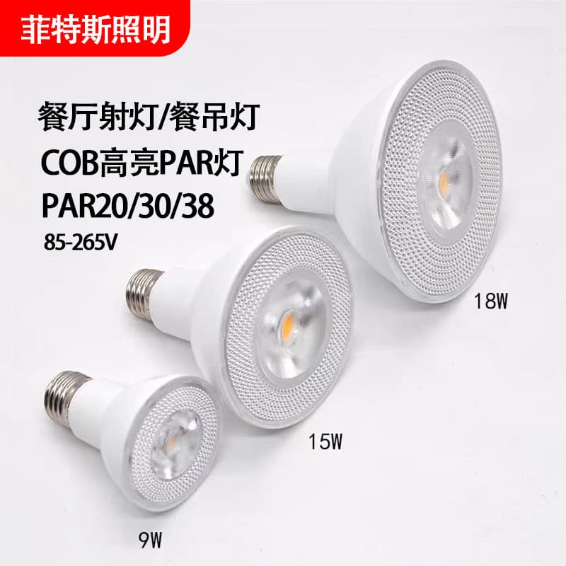 Direct Supply from Manufacturer: LED PAR Lights PAR38 18W, PAR30 15W, PAR20, E27 Screw Base with Dimming Function