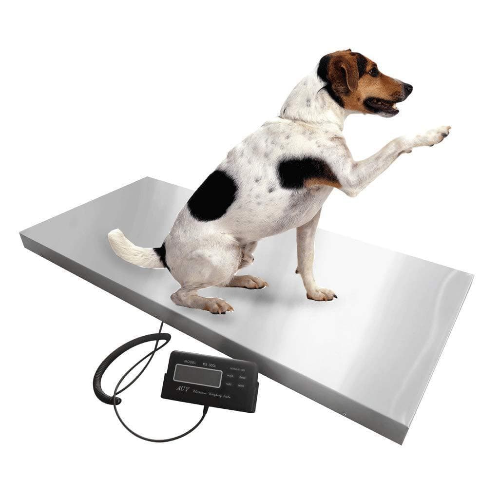 Large Platform Postal Scale Stainless Steel Pet Scale Livestock Scale Express Scale Logistics Scale Commercial Electronic Scale Industrial Scale