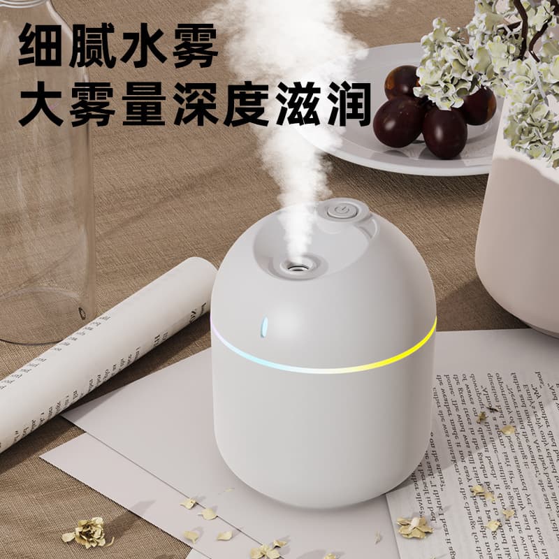 2025 New Model Foreign Trade Humidifier Gift for Home and Office, Large Mist Volume Bedroom Desktop Car Mini Sprayer