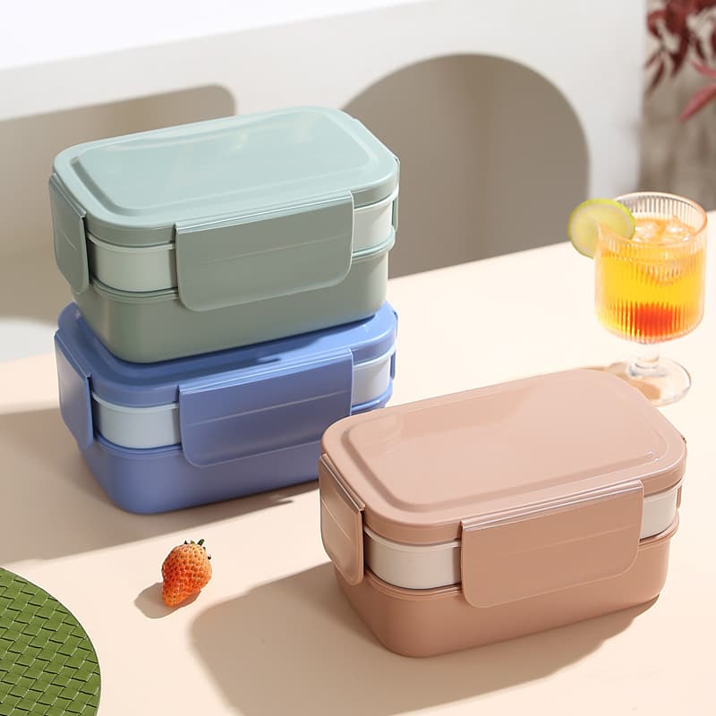 INS Amazon Compartment Bento Box Double-Layer Salad Lunch Box for Students, Adults, Office, Microwave-Safe, Outdoor Picnic Box