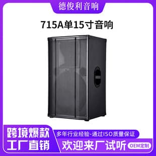 Cross-Border New Single 15-inch Professional Speaker for Outdoor Square Dance, Indoor Movie Viewing, KTV Audio Equipment
