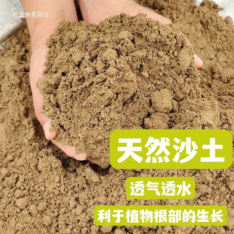 Natural sandy loam soil for vegetable and flower gardening, potting soil, fine sand, universal soil