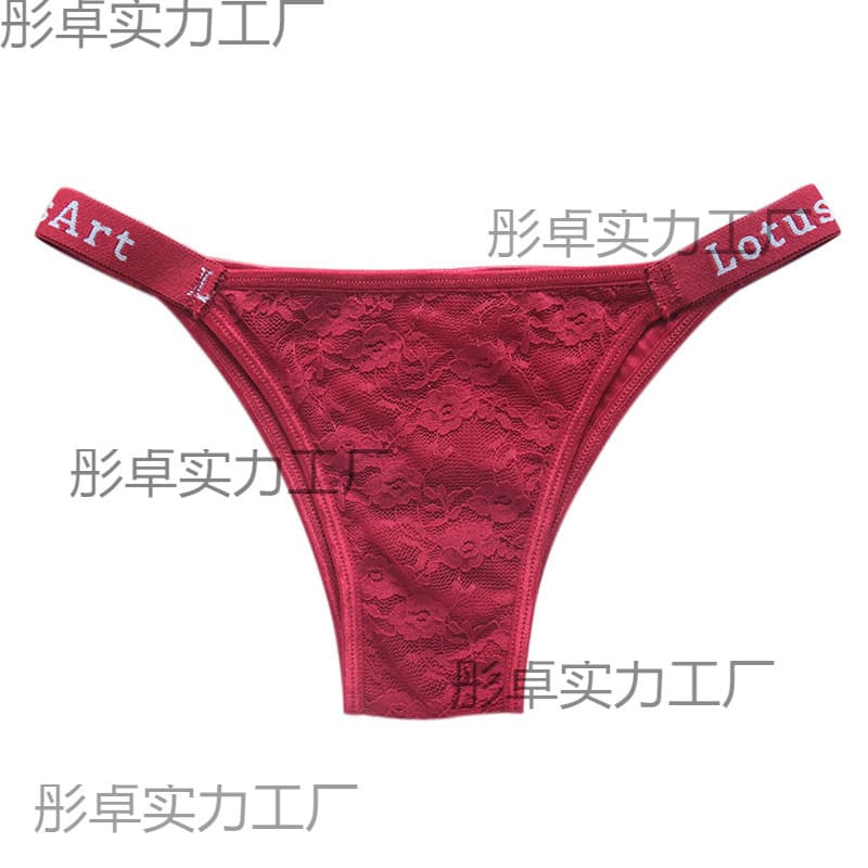 Women's Sexy One-Piece Brazilian Mesh Lace Thong Underwear