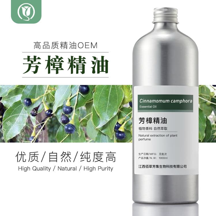 Ho Leaf Essential Oil Steam Distilled Ho Leaf Oil Camphor Oil Manufacturer Wholesale Camphor Oil Ho Leaf Oil Mosquito