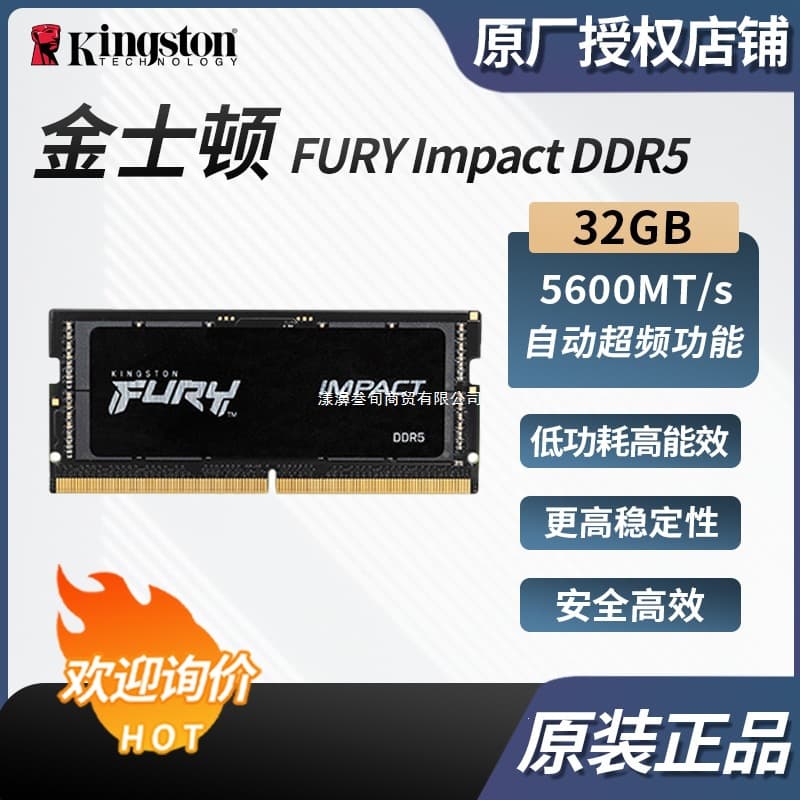 Compatible with Kingston FURY Impact DDR5 32GB 5600 Desktop Memory, HyperX Beast Other
