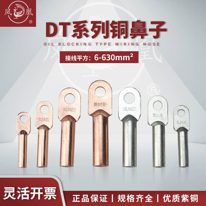 Copper Lug Pure Copper Wiring Terminal Grade A Thickened Copper Lug DT10/16/25/35 sq. mm Phoenix Power