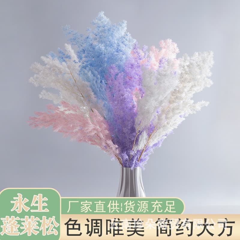 Preserved Moss Wholesale - Fresh-Keeping Foliage from Yunnan, Luxury Floral Material for Living Room and Wedding Arrangements