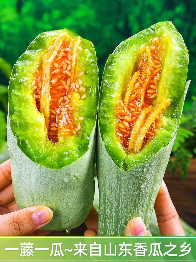 Fresh Shandong Yangjiao Honey Melon, 10 jin (5 catties), seasonal crisp and sweet melon, free shipping for the whole box.