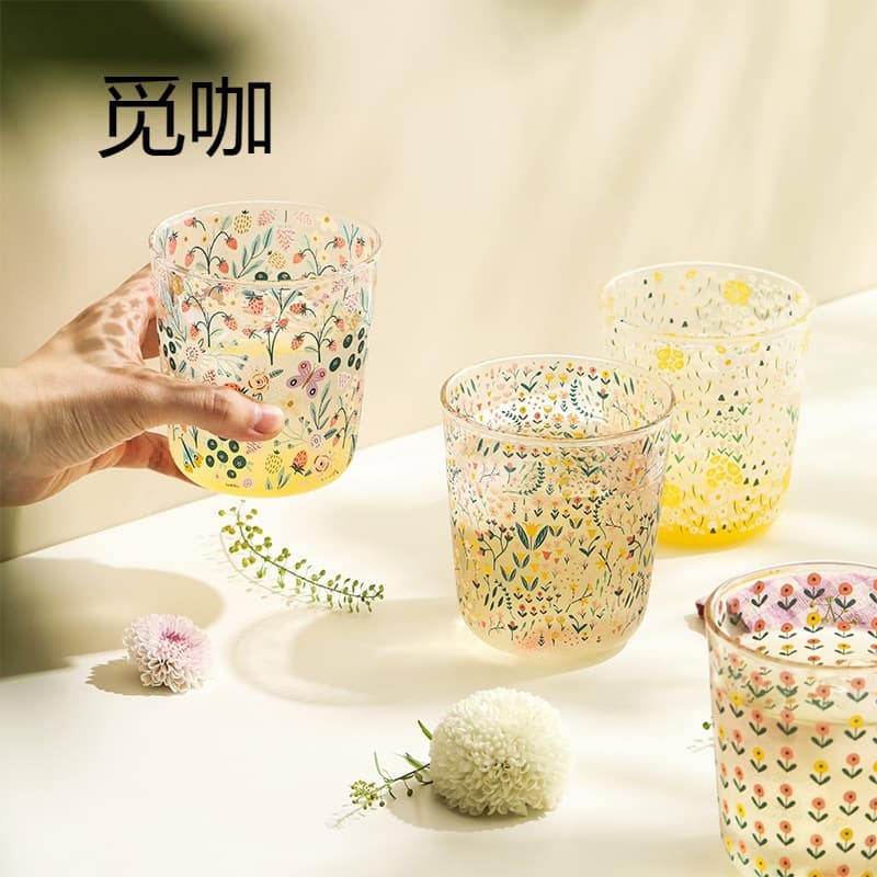Home Glass Cup Office Water Cup for Women Heat-Resistant Cup Tea Cup Trendy High-Appearance Borosilicate