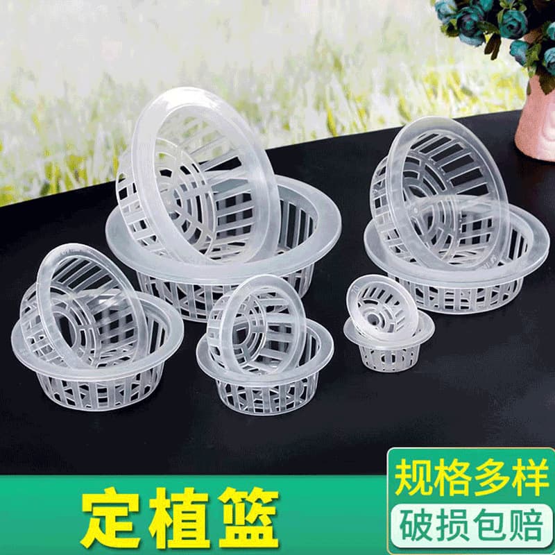 Planting Basket Flowerpot Hydroponic Plant Glass Vase Green Rose Soilless Cultivation Flowers Shallow Root Fixer Wholesale