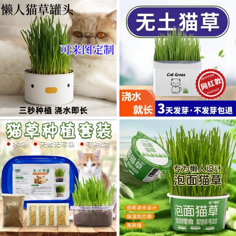 Cat Grass Hydroponics Kit, Soilless Planting Cat Grass Crystal Ball Planter, Cat Grass Snacks, Hairball Remover
