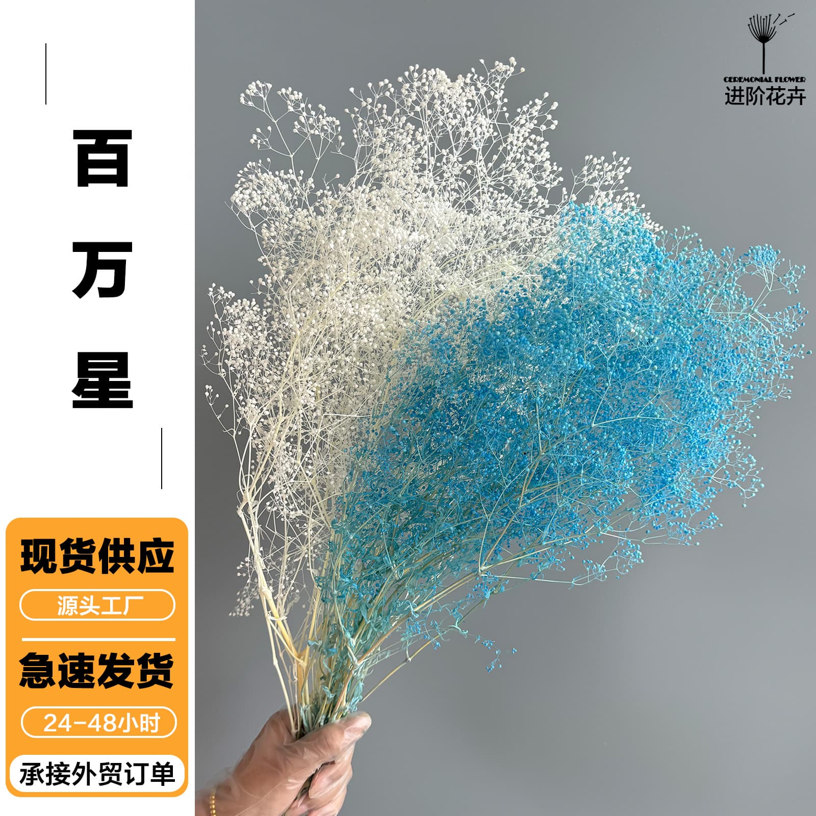 Preserved Flower Million Star Thousand Star Gypsophila Dried Flower Bouquet DIY Material Kit Scented Candle Yunnan Cross-border Wholesale