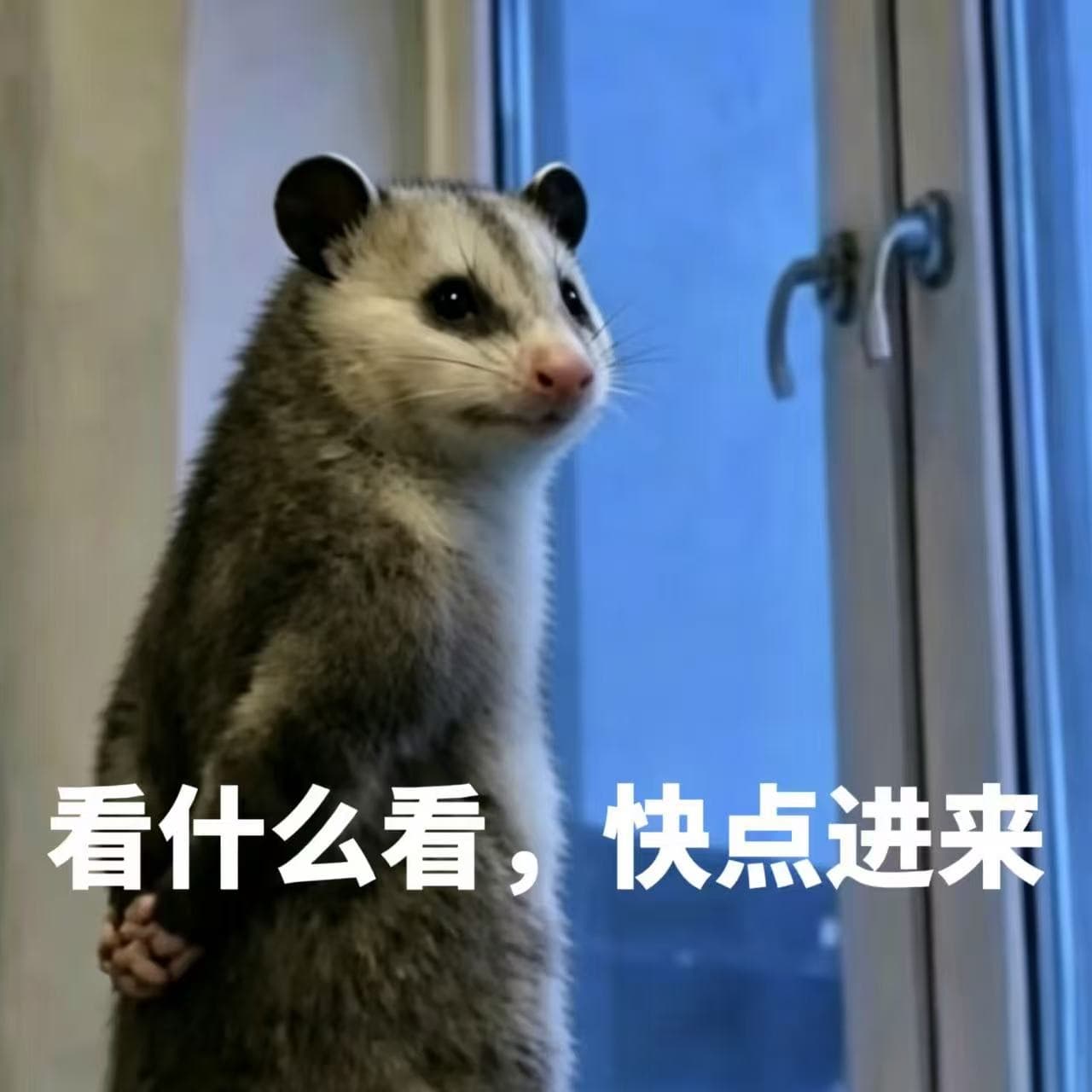 Xiaohongshu Hot Opossum Emoticon Acrylic Stand Healing Office Bedroom Decoration Desktop Ornament Gift for Friends