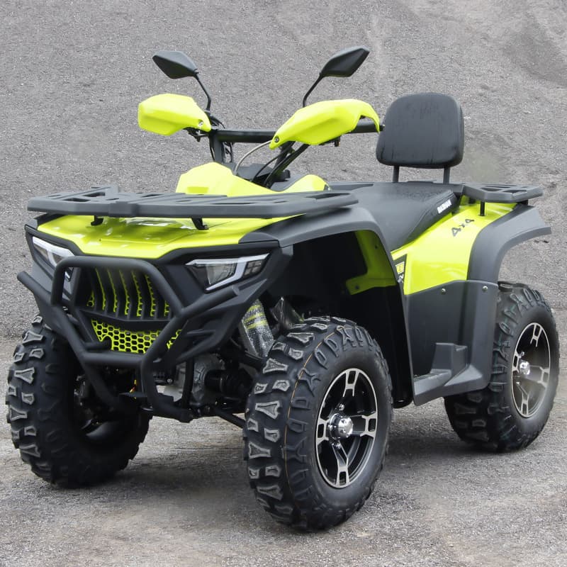 300cc Tiger Shark WHS EFI Bashan 4WD Off-Road Beach Buggy, Gasoline Motorcycle, All-Terrain ATV