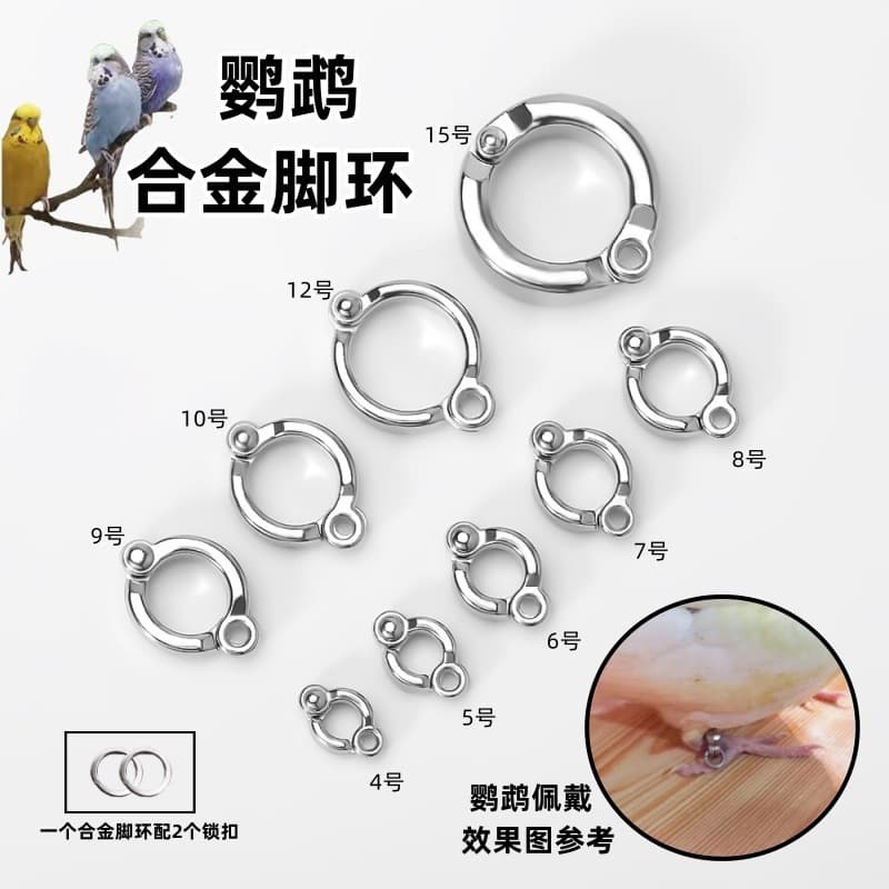 Parrot Leg Bands Bird Leg Rings Open Ring Clips Accessories Bird Buckle Bird Leg Band