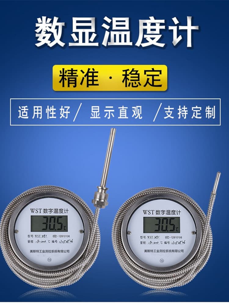 Digital Thermometer with Probe Wire Home High Precision Acid-Alkali Industrial Oil-Resistant Slaughter Sausage Cooking Water Temperature Gauge