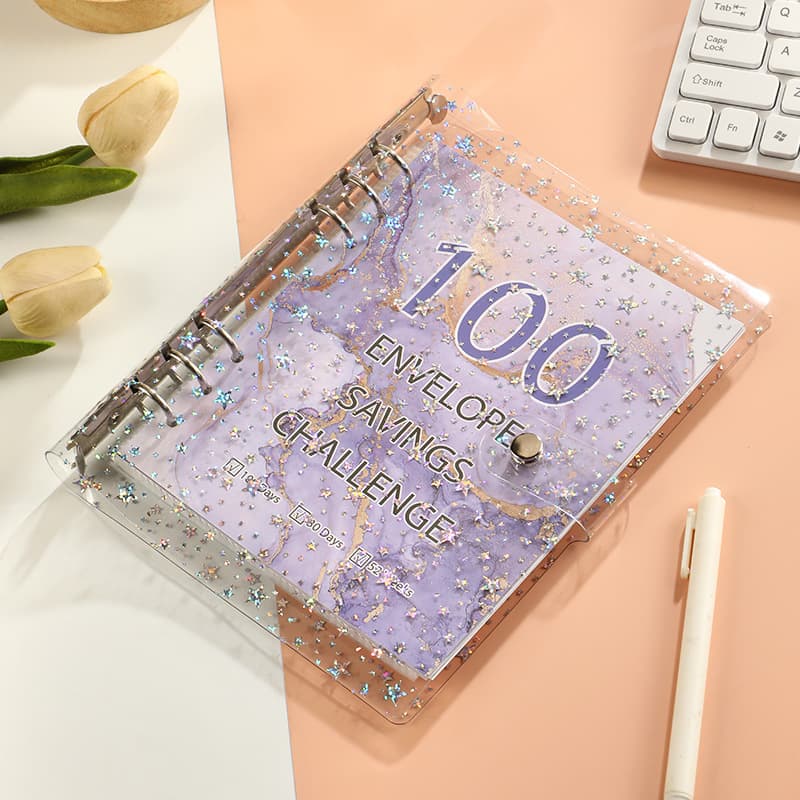 Amazon Loose-Leaf Couple 100-Day Savings Challenge Notebook Envelope Savings Cash Budget