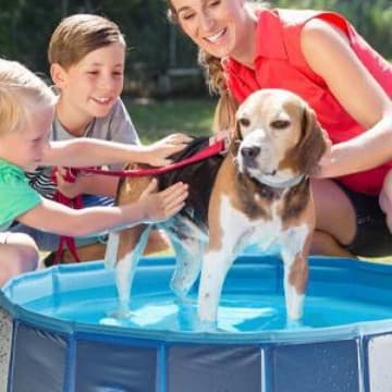 Hot Selling Pet Pool Cross-border Dog Folding Bath Pool Swimming Pool Dog Pool Pet Bath Tub Pet Bathing