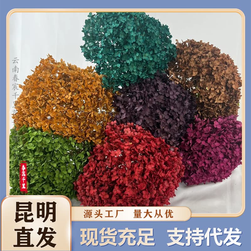 Everlasting Flower Anna Hydrangea Color-absorbing Dried Flower Bouquet with Rod Yunnan Manufacturer Wholesale Christmas Anna Hydrangea Customized