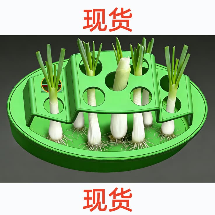 Hydroponic Scallion Planter Hydroponic Onion Scallion Hydroponic Tray Hydroponic Scallion Planter In Stock