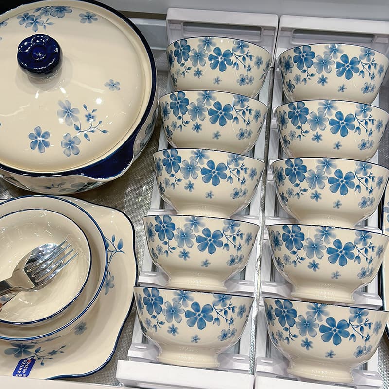 High-Aesthetic Ceramic Bowl and Plate Dinnerware Set for Home Use, Premium Plates and Dishes Combination