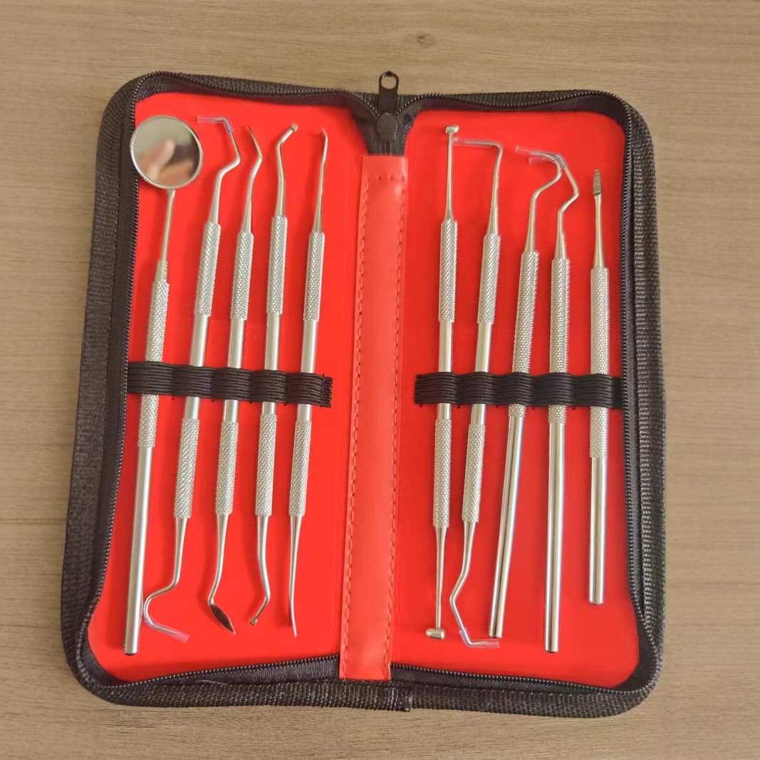 Stainless Steel Dental Care Set 10 Pieces Home Combination Tartar Remover Cleaning Teeth Dentist Tools Factory Supply