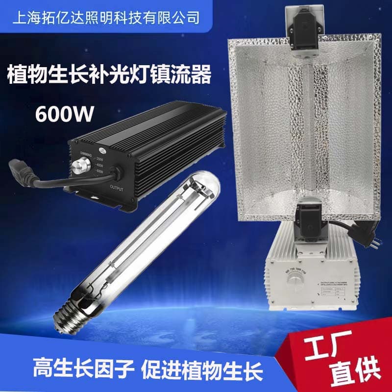 Cross-border Supply 600W High Pressure Sodium Plant Grow Light Electronic Ballast Lamp 3-Piece Set