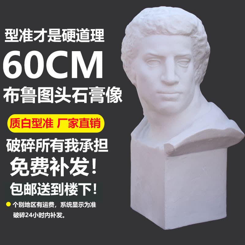 Brutus Head Plaster Sculpture Display Art Teaching Tool Sketch Portrait Still Life Model Decoration