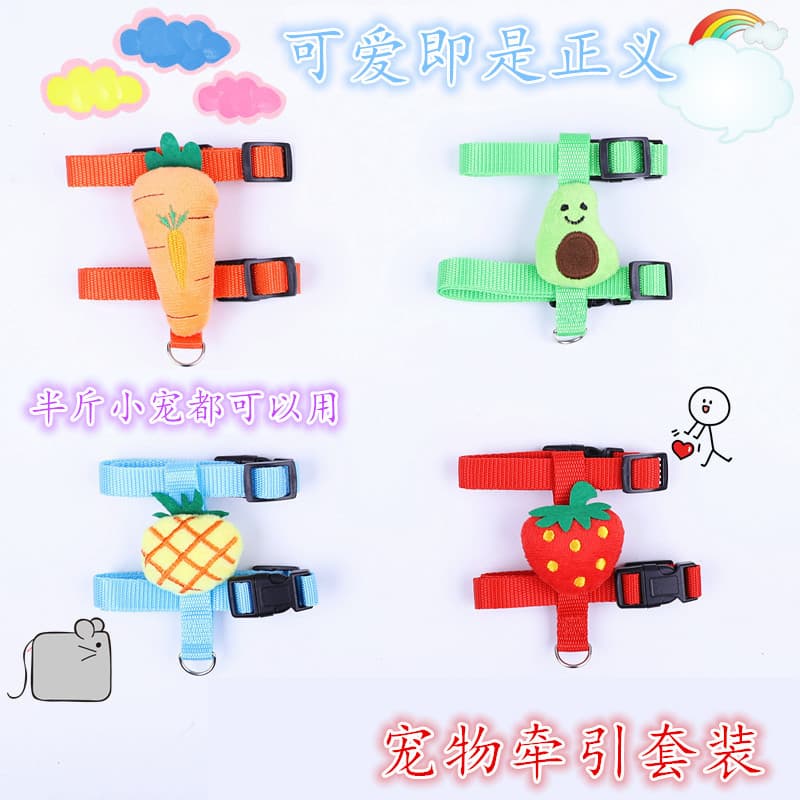 Pet Garden / Cat Leashes / Retractable Cat Leash