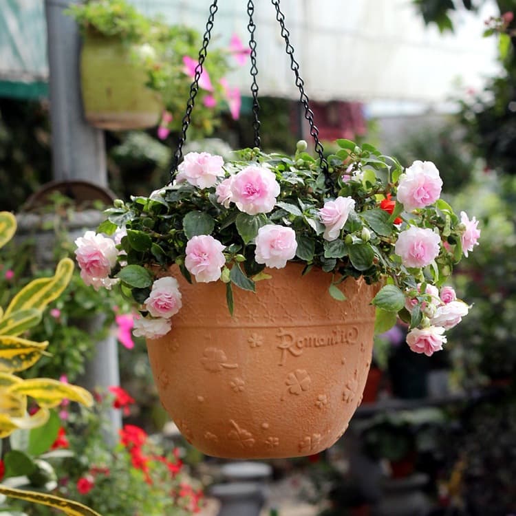 Creative spider plant clay hanging pot red pottery flower pot hanging hanging flower succulent green plant dwarf simple decorative flower vessel