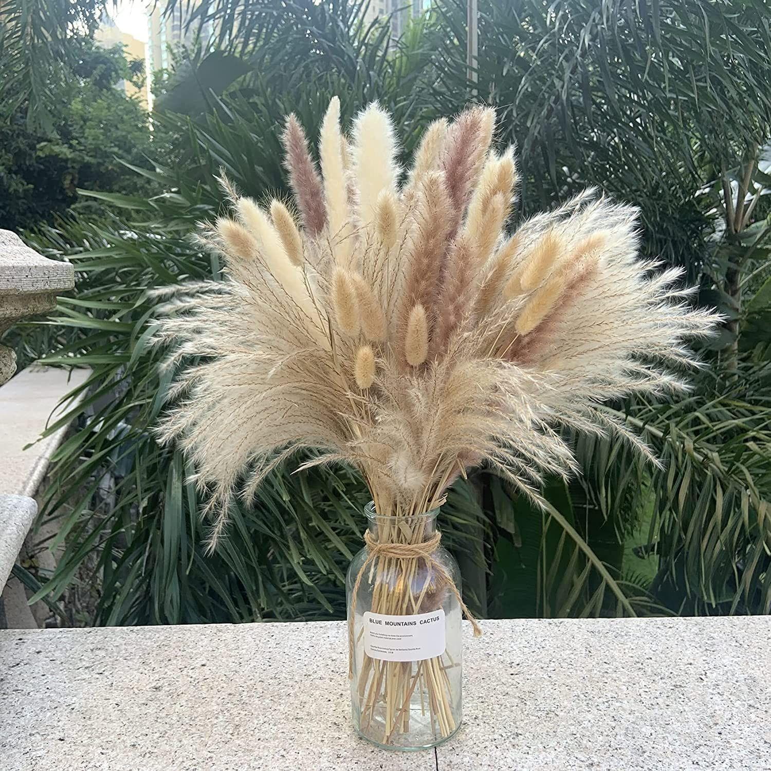Yunnan factory direct Amazon cross-border hot-selling small pampas grass duster, bunny tail grass, small reed dried flower bouquet