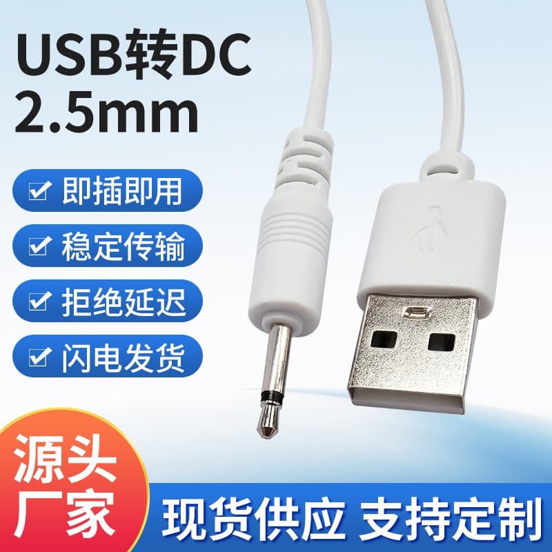 Charging Cable USB to 2.5 Mono for Beauty Device, Vibrator, Bouncing Ball, Adult Products Charging Cable Factory Wholesale