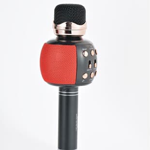 New Hot Selling Microphone Bluetooth Speaker Mini Mic Audio Portable Bluetooth 5.0 Dual Channel