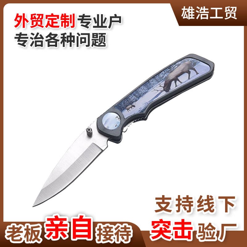 Outdoor Knife Mini Stainless Steel Folding Fruit Knife Portable Camping Plastic Handle Sharp Knife