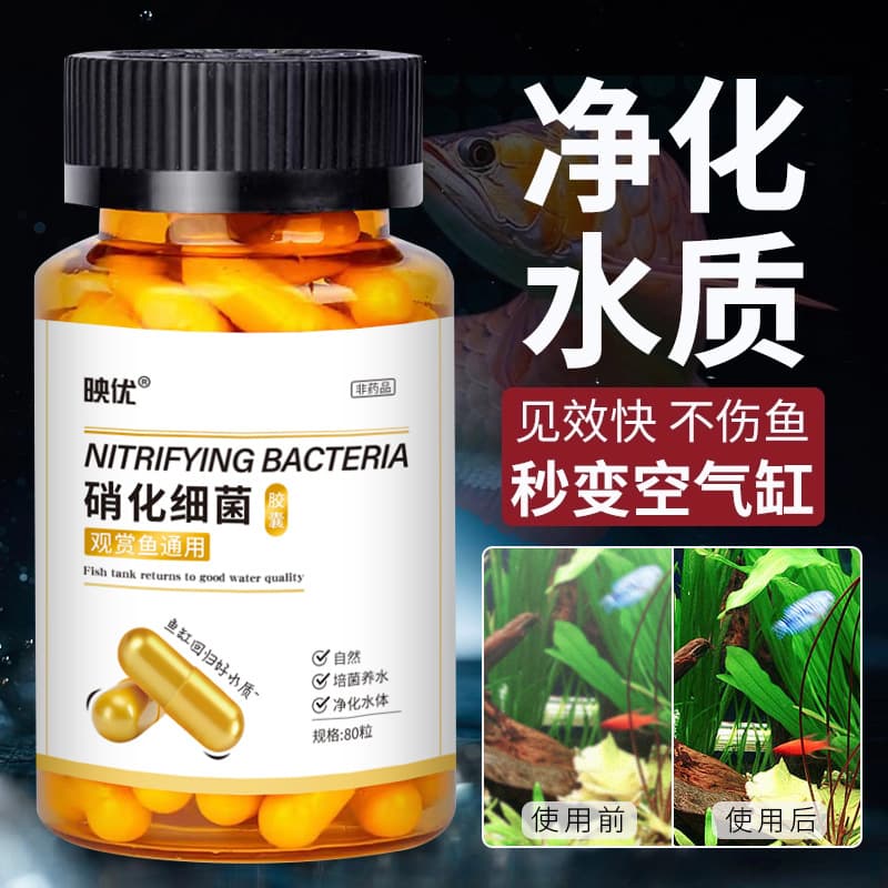 Capsule Nitrifying Bacteria for Aquarium Water Purification, Ornamental Fish Digestive Bacteria Powder in Bag, Aquarium Supplies Wholesale