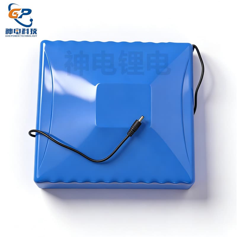 Factory Direct Custom 12V 24V 36V 48V 60V 72V Rechargeable Power Lithium Battery 8Ah 10Ah 12Ah 20Ah 30Ah
