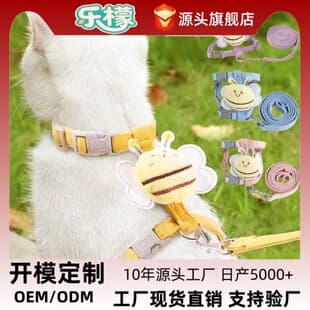 Customizable Cat Leash Cat Walking Special Anti-Escape Outdoor Pet Dog Cat H-Shape Harness Cute Chest Strap