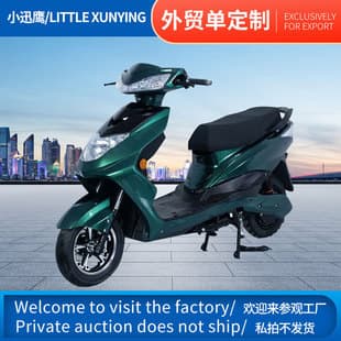 Custom processing electric scooter pedal electric motorcycle adult commuting travel electric scooter electric motorcycle cross-border Ukraine