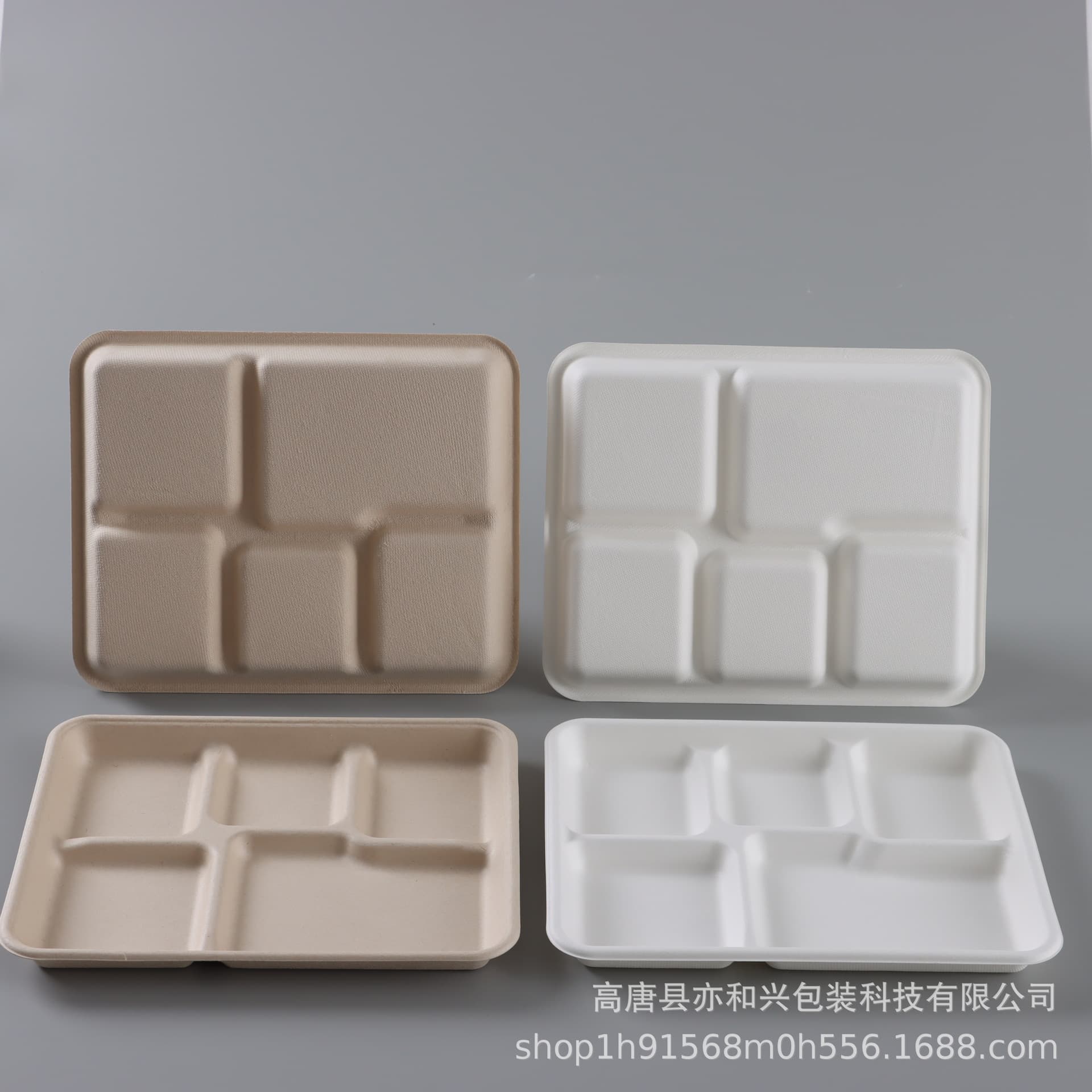 Multi-Compartment Disposable Trays, Shallow Five-Section Pulp Food Containers, Divided Plates for Buffet Sushi, Sugarcane Pulp Plates