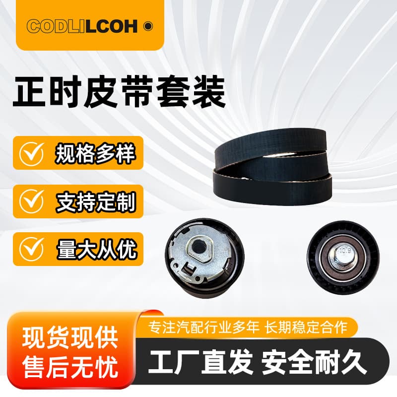 Timing Belt Tensioner Set Suitable for Renault Dacia K015662Xs 130C17480R