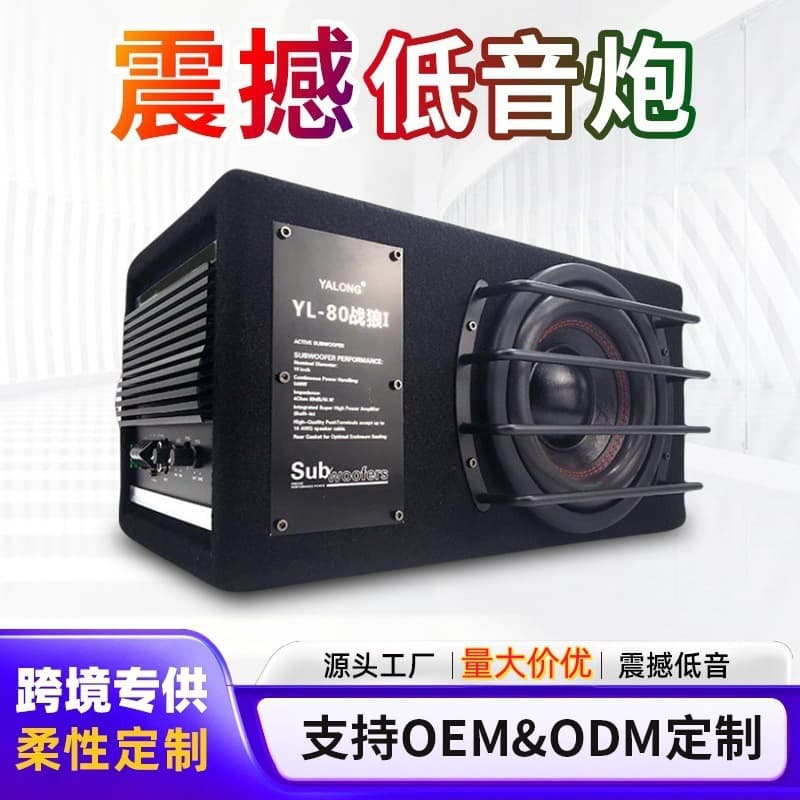 Car Audio Upgrade Subwoofer Active High Power Subwoofer