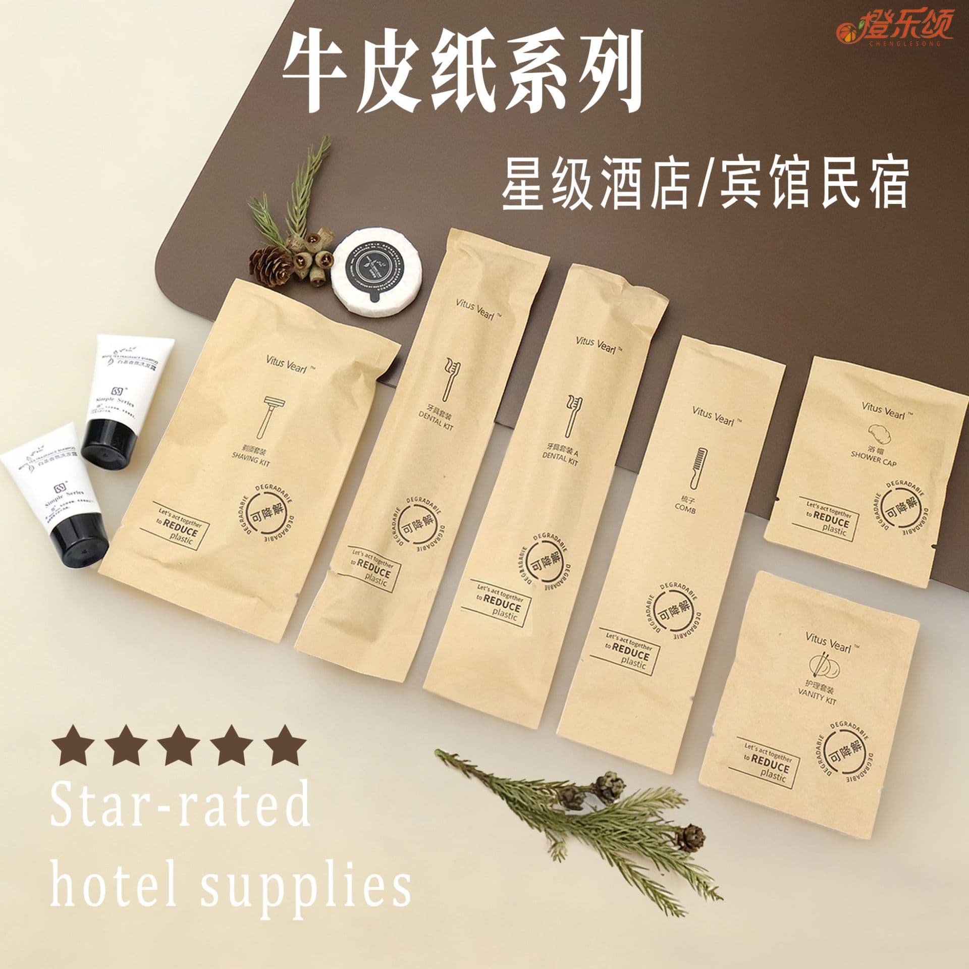 Hotel Kraft Paper Disposable Toothbrush Toothpaste Set Wholesale Toiletries B&B Hospitality Full Box Ready Stock