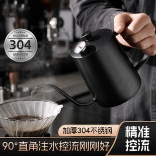 304 Stainless Steel Pour-Over Coffee Kettle, Thin Spout, Long Spout, Drip Coffee Kettle, Coffee Tool, 600ml