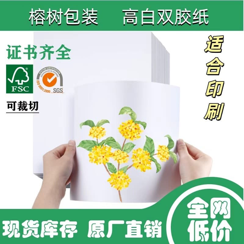High Grammage 140~250g Double Coated Wholesale Source Factory Writing Paper Printing Paper