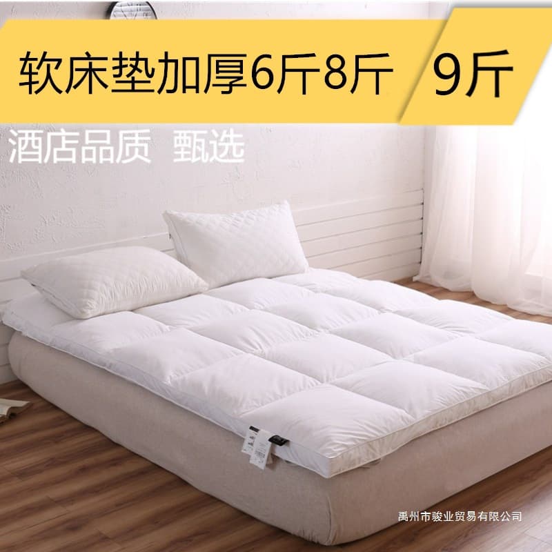 Hotel Mattress Thick Foldable Mattress Pad Down Alternative Warm B&B Down Soft Pad Dormitory Double .M.