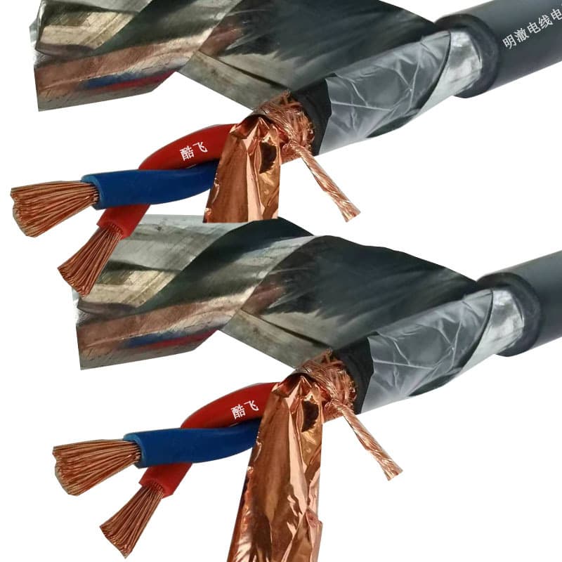 ASTP-120 Armored CAN Bus Cable RVSP22 Twisted Pair Shielded Wire 2x2.5 National Standard RS485 Communication Cable