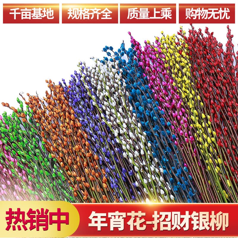 Floral Silver Willow Fresh Branches, New Year Indoor Dried Flowers, Red Silver Willow Dried Flowers, Real Flowers, Hydroponic Plants, Decoration for Living Room